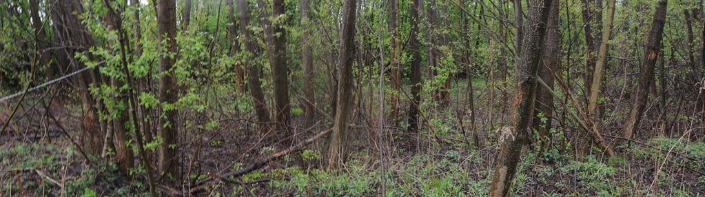 Działka budowlana lipowo