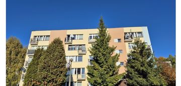 Słoneczne mieszkanie dla rodziny