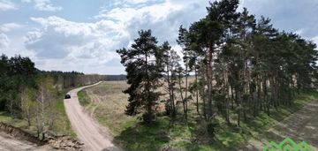 Kołaczkowo skórzewo 1019m2 jeziora las woda