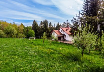 Widokowa działka 50 ar janowice