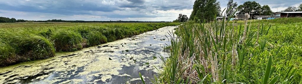 Działka z domem nad rzeką narew w czerewkach
