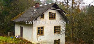 Dom w lesie nad jeziorem