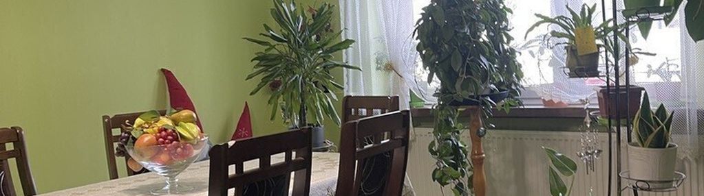 Dom w centrum: 240 m², fotowoltaika.