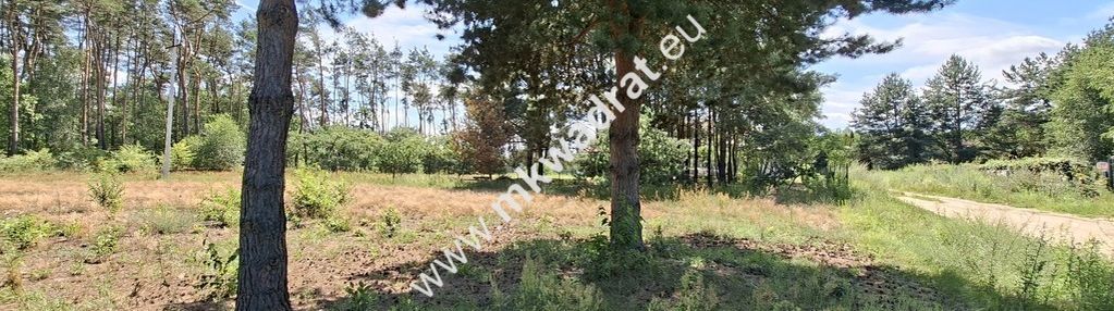 Działka przy lesie – natura, doskonała komunikacja