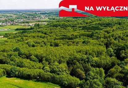 Działka leśna w skrzyszowie
