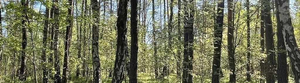 Działki na sprzedaż – ciemne k. radzymina