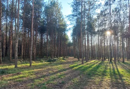 Działka na sprzedaż 1600m2