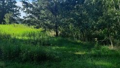 Działka 2600 m2 nowy wilków - piękna okolica !
