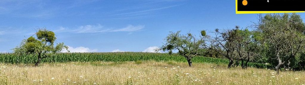 Działka z pięknym widokiem na zalew wiślany