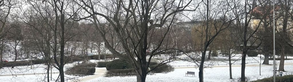 Centrum & cisza | bastion sakwowy |widok na zieleń