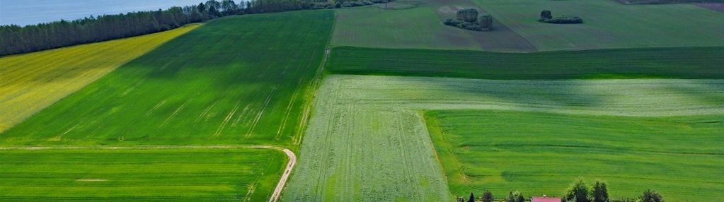 Uzbrojone działki z widokiem na jezioro.