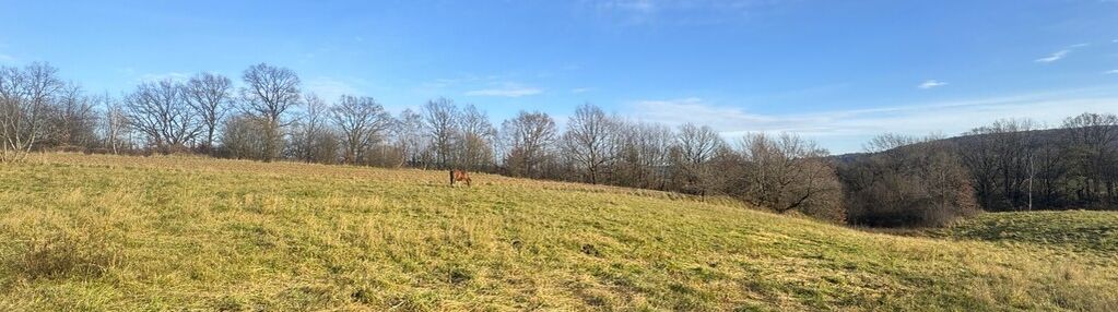 Tarnawce działka budowlana