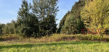 Działka rolna 2,84ha w nosach, koło ojrzanowa.