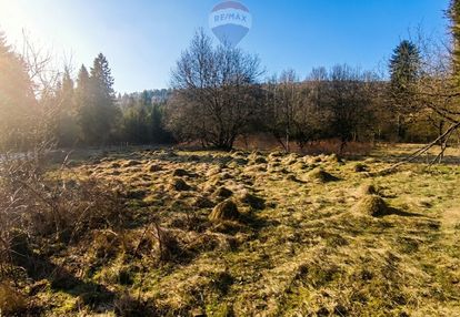 Działka 8a otulona zielenią – jeleśnia czeka!
