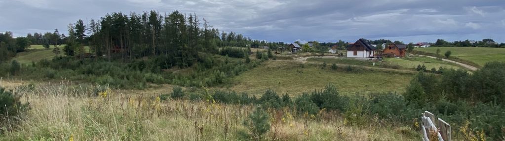 Stare czaple - działka 1093 m2
