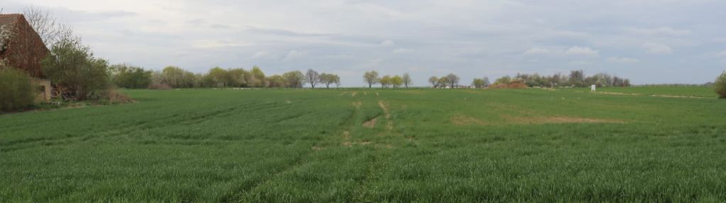 Duża działka 1,15 ha z zabudowaniami
