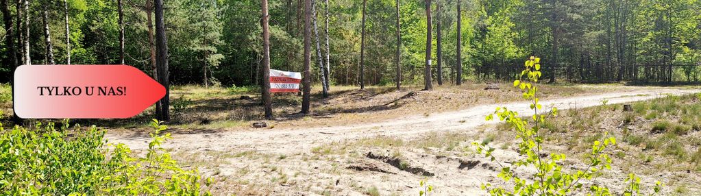 Działka budowlana otoczona lasem. tylko u nas !!!
