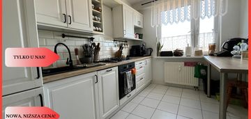 *2 pokojowe mieszkanie 49m2 mogilno