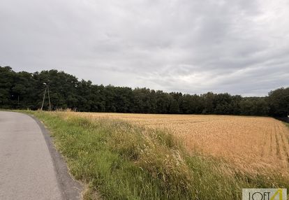 Duża działka z wz - wiele możliwości