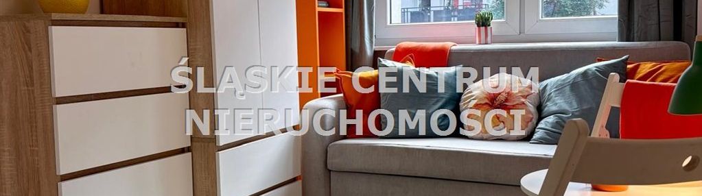 Kawalerka sosnowiec kazimierz broniewskiego 42