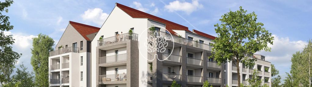 Dzikie osielsko