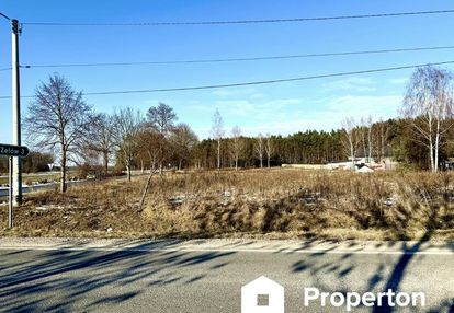 2 działki w leśnym otoczeniu, 0,2503ha i 0,1500ha