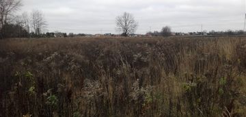 Atrakcyjna działka ponad 3000 m2 w kampinosie