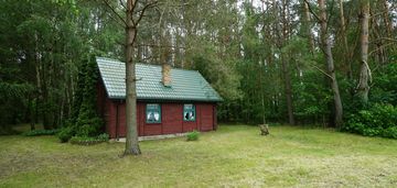 Domek ukryty w małym lesie, blisko rzeki, cieciory gm. turośl
