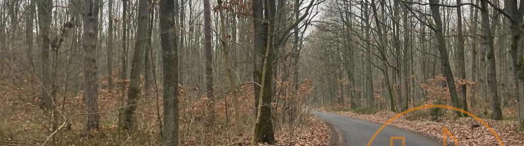 Pod zabudowę jednorodzinną. w otulinie lasu, cisza