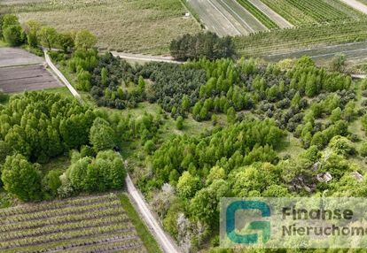 Zielona działka z możliwościami – wola chojnata