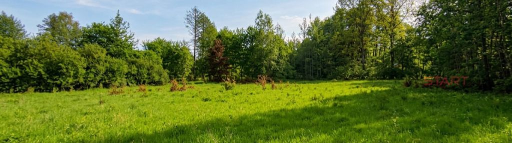 Siedlisko ! bolesławek gm . żabia wola .
