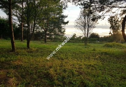 ⭐⭐⭐⭐⭐ super działka usług z mpzp wym. 50x78 ⭐⭐⭐⭐⭐