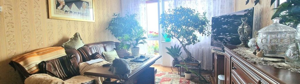 Mieszkanie 3 pokoje | garaż | piwnica | widok