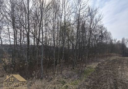 Duża działka w radlinie – 3467m² - top