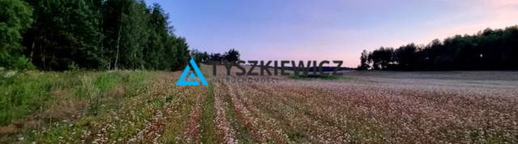 Działka z potencjałem nad brzegiem jeziora cheb