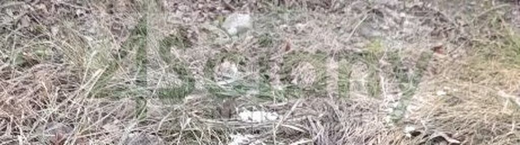 Zabudowa szeregowa, bliźniacza i jednorodzinna.