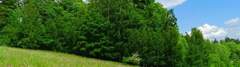 Działka budowlana 3 km od wałbrzycha