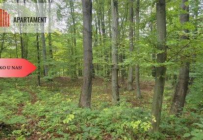 1.17ha klimatu i potencjału z własnym lasem