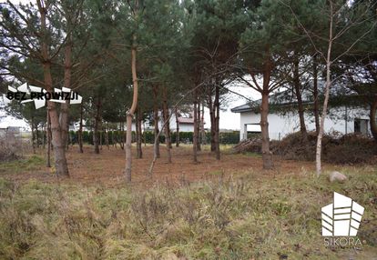 | czysta kw | morze | okolica |