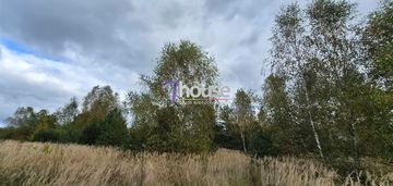 Piękna duża działka budowlana z drzewami 4800m2