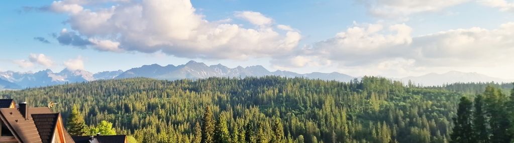 Działka widokowa obok hotelu "harnaś "w bukowinie