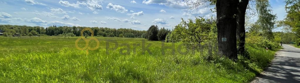 Działka budowlano - inwestycyjna w bądzowie  