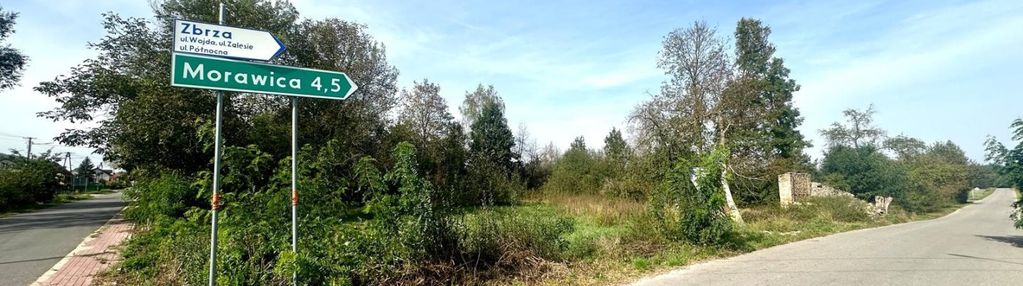 Urokliwa działka, w pobliżu las oraz rzeka nida.