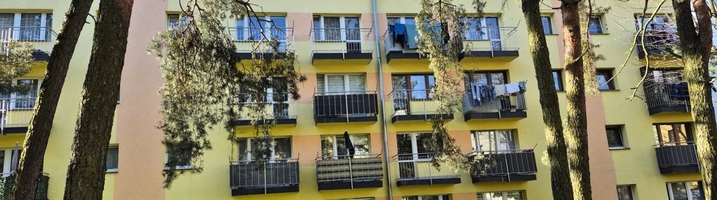 Mieszkanie z widokiem na lasek sosnowy