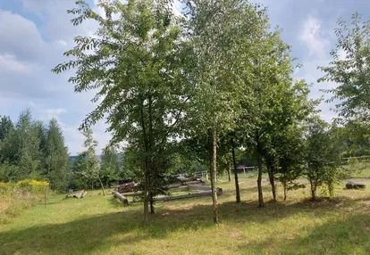 Działka na sprzedaż 2100m2