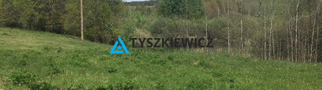 Działka skorzewo 4,62 ha