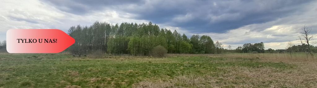Działka 1,33 ha nad rzeką wierzyca-lipy-struga!