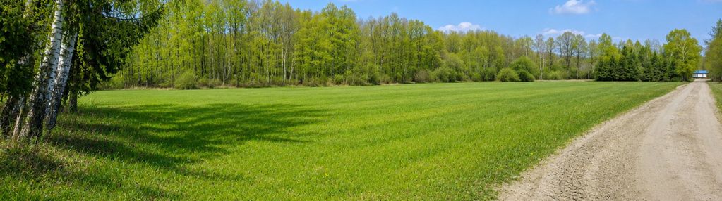 Działka rolno-budowlana 2,5 ha. nowosiółki