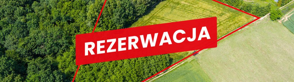Na sprzedaż: działka 79 arów- domosławice