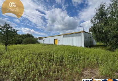 1,6 ha na produkcję, składy, magazyny+hala 1100 m2